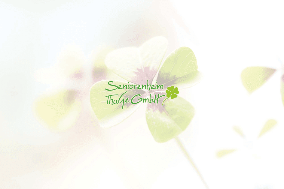 Alten- und Pflegeheim Steinfeld – Webseite