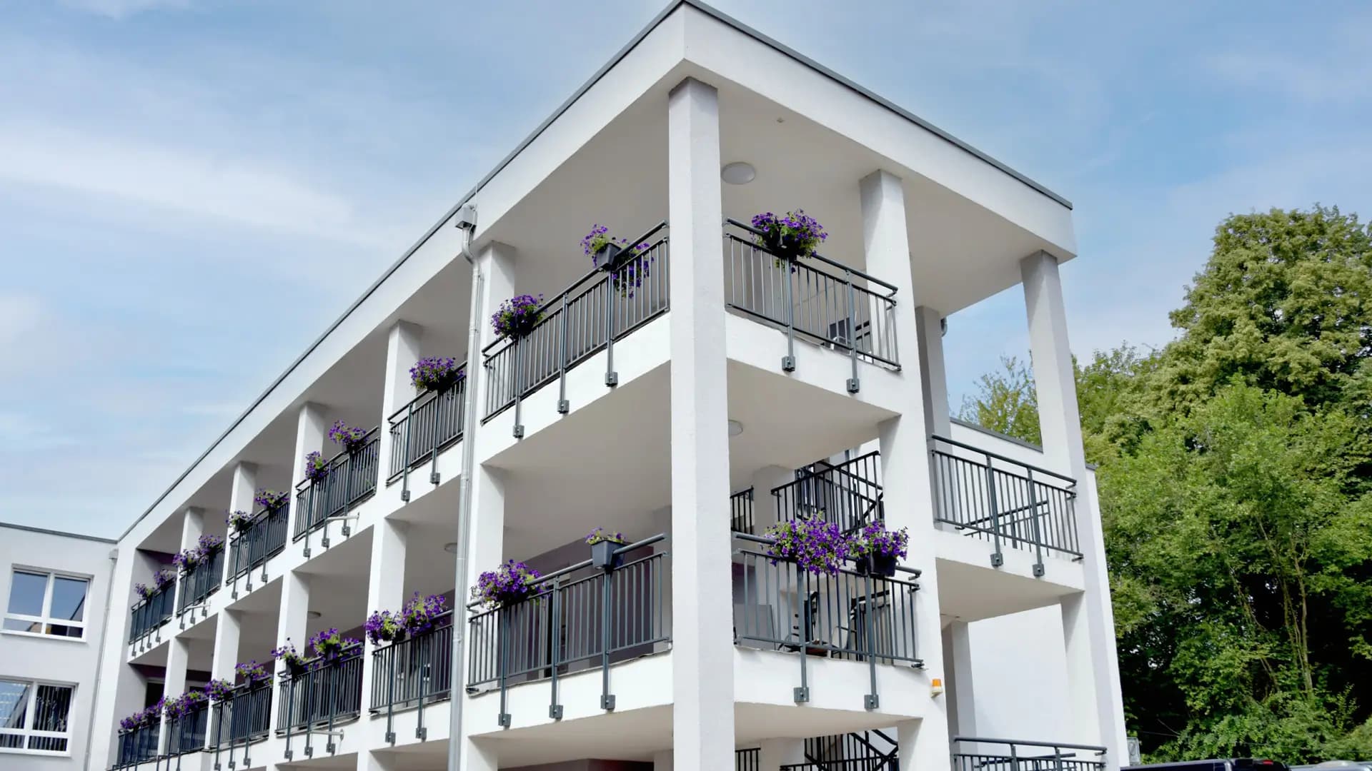 Pflegeheim Haus Mühlberg – Webseite