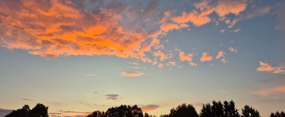 Cellitinnen - Seniorenhaus St. Gertrud – Webseite