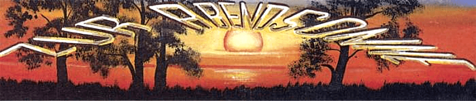 APH Zur Abendsonne – Webseite