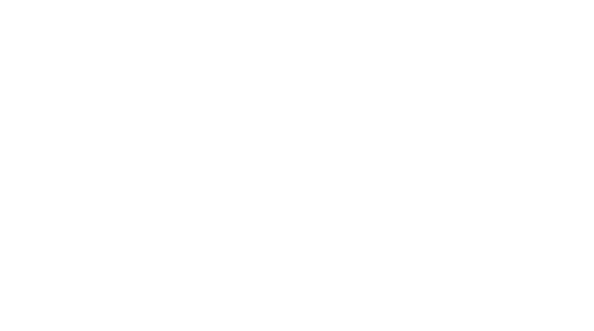 1. Eckernförder Tages- und Dauerpflege – Webseite