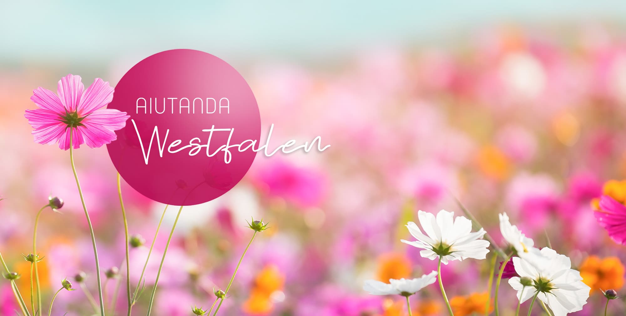 aiutanda Lebenspark am SchiederSee – Webseite