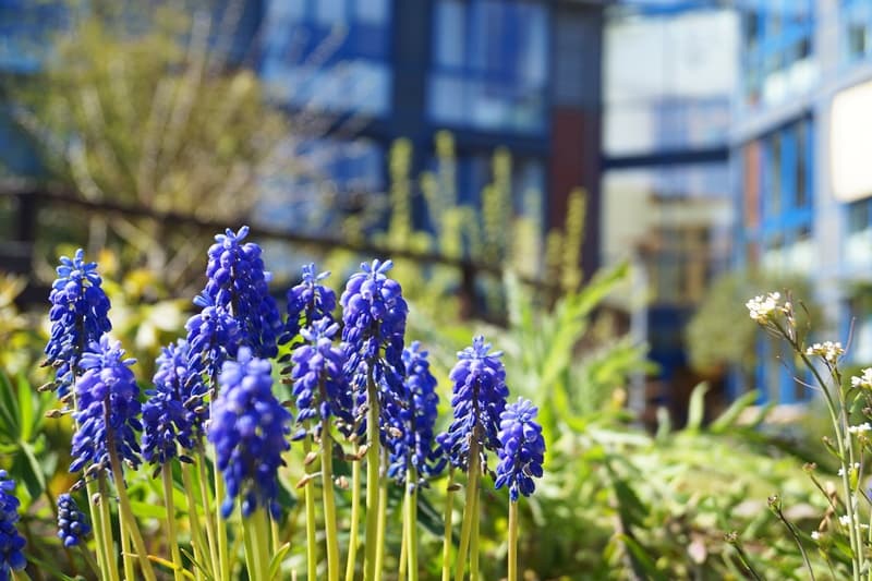 Gotthard und Anna Hansen Stift