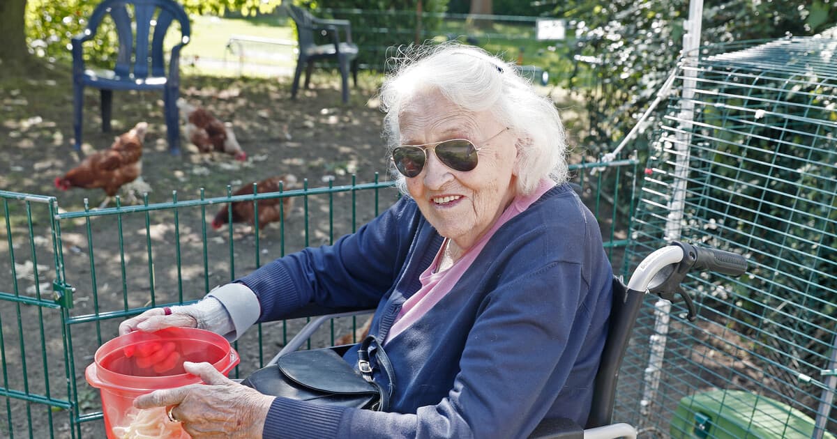 Katharina - von - Bora - Haus – Webseite