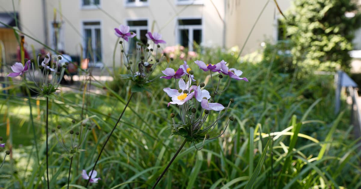 Martin-Luther-Haus – Webseite