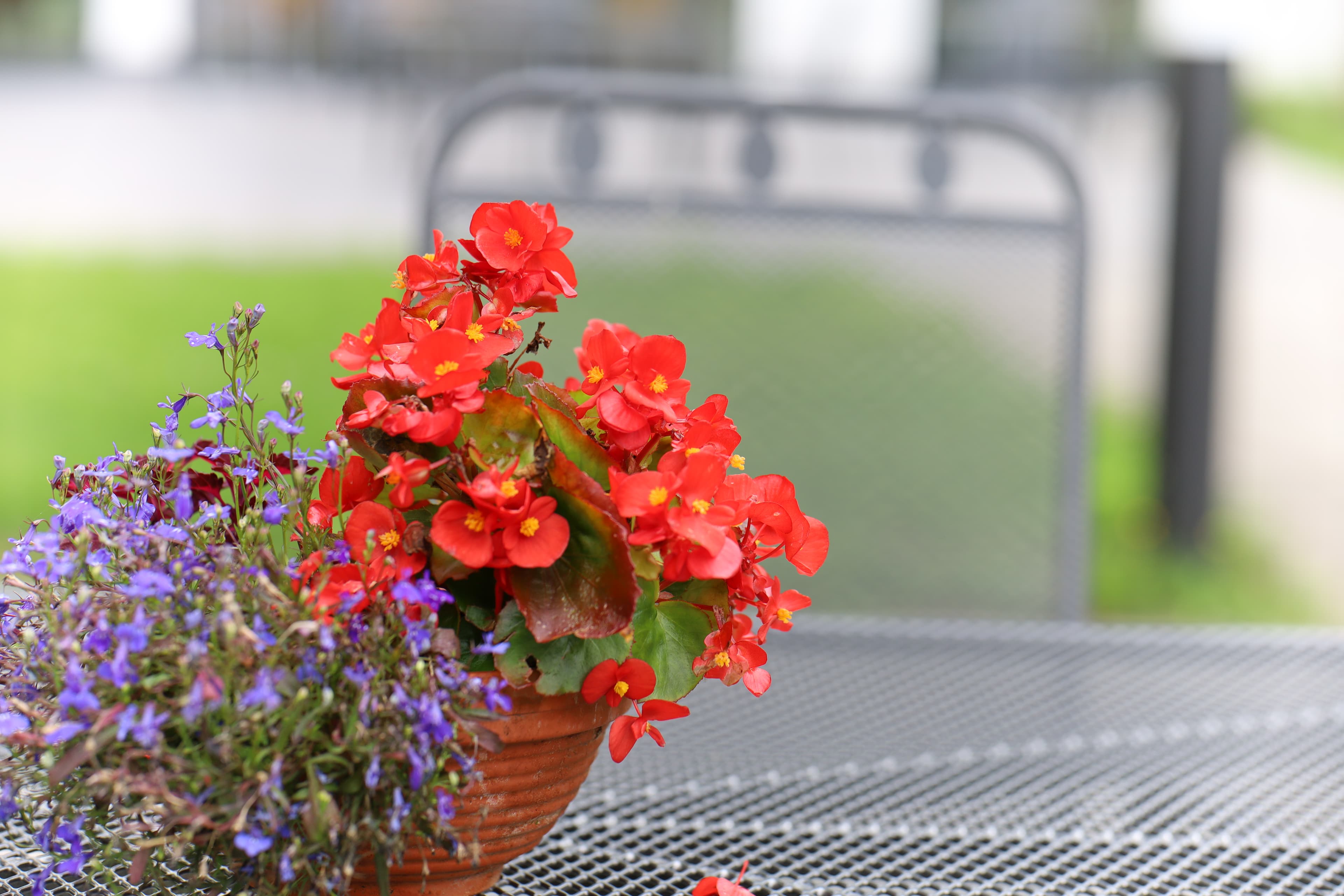 Seniorenhaus Korschenbroich – Webseite