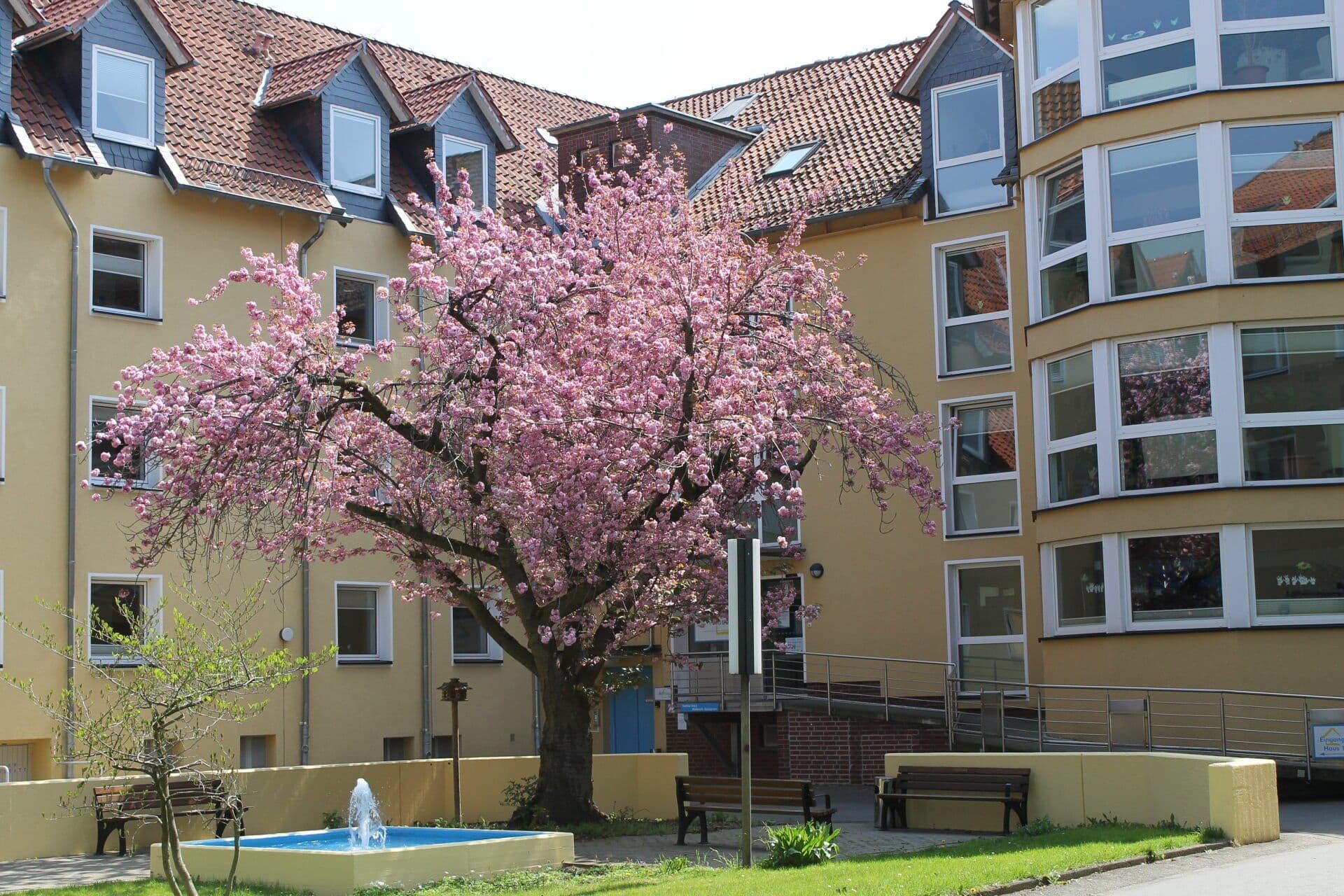 Grotjahn-Stiftung Senioren- und Pflegeheim