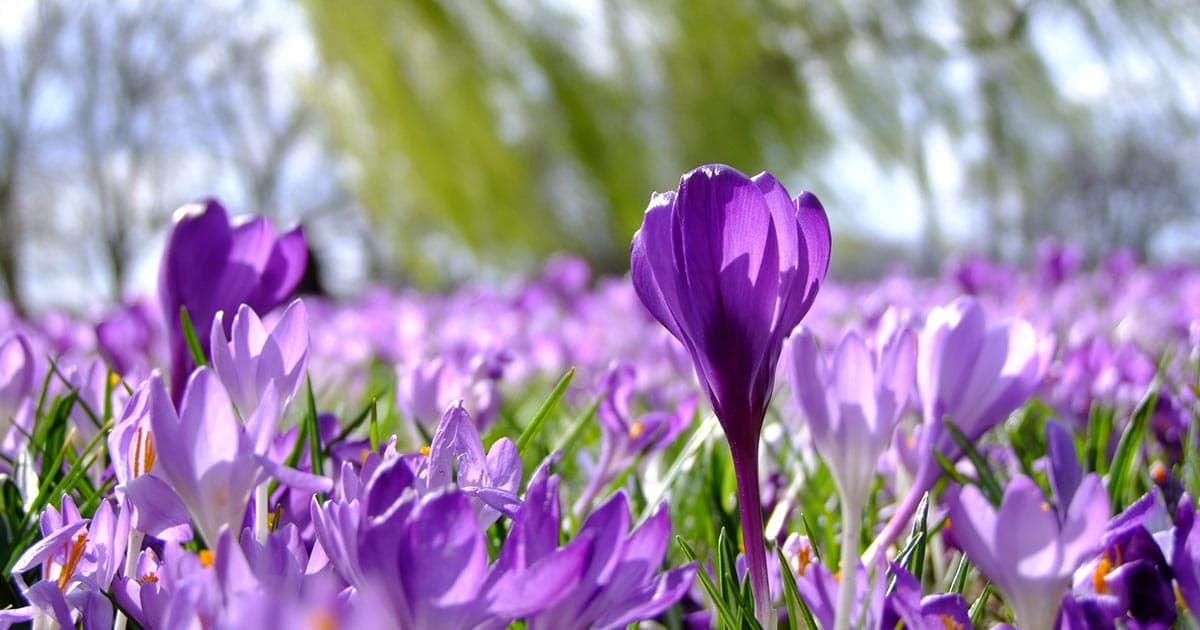 Karl-Sommer-Stift – Webseite