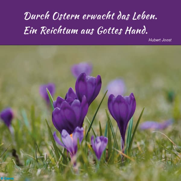 Kurzzeitpflege im Altenpflegeheim "Stift Wilhelma"