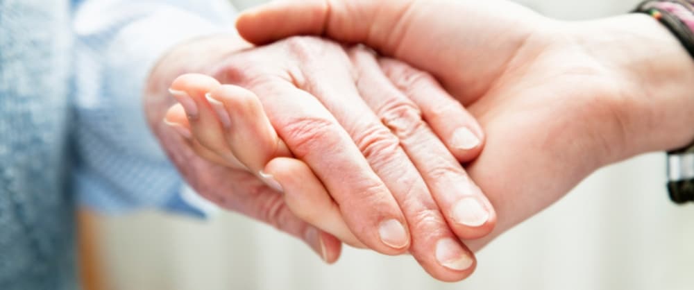 Haus an der Schwippe – Webseite