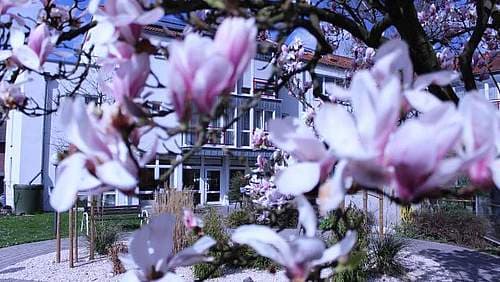 Haus am Ginsterweg Ev. Johanneswerk – Webseite