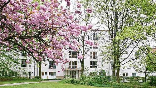 Buchen-Hof – Webseite