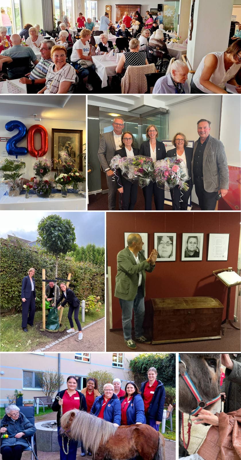 Seniorenresidenz Helene Donner – Webseite