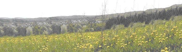 Wohn- und Pflegeheim Ulm – Webseite