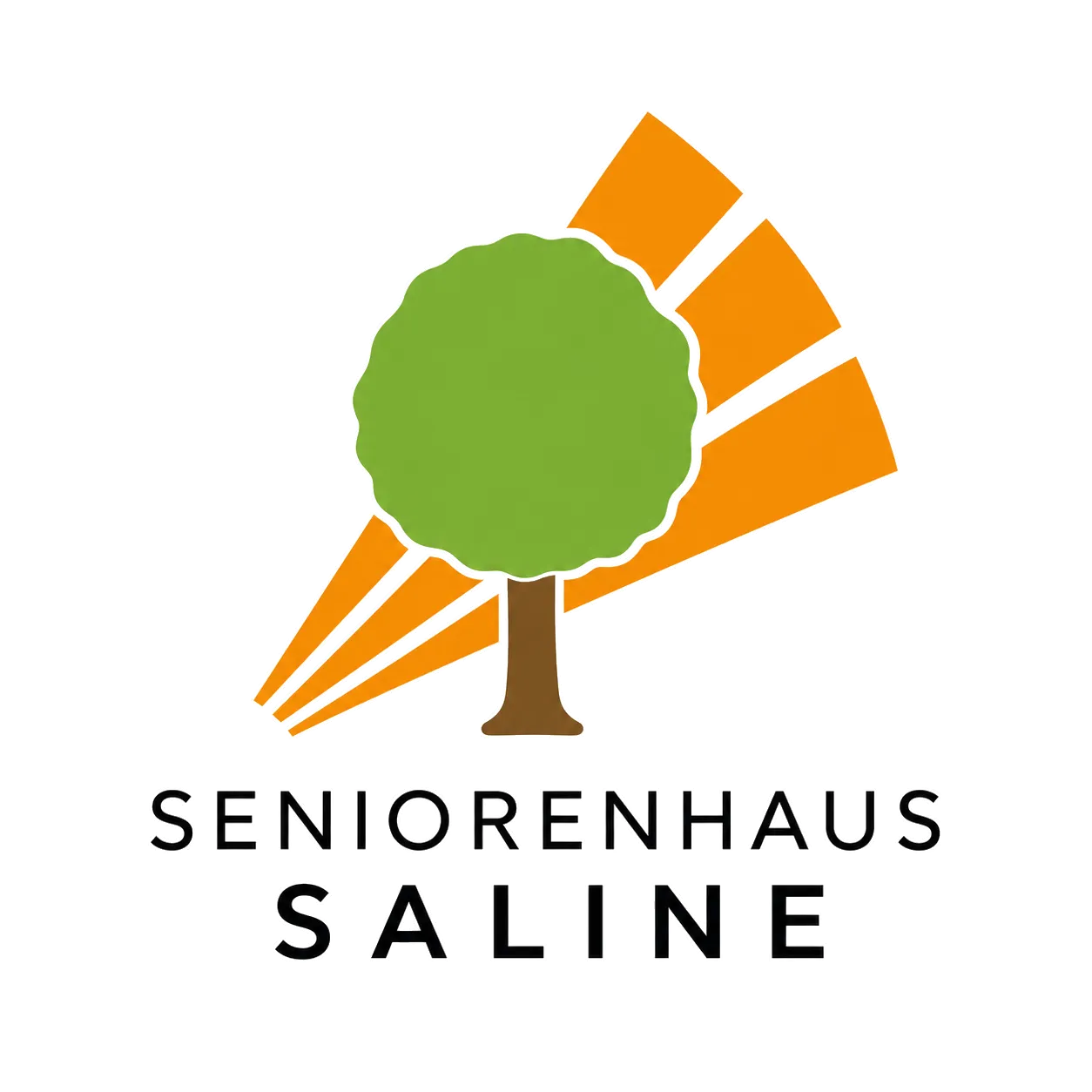 Seniorenhaus Saline – geprüftes Websitebild