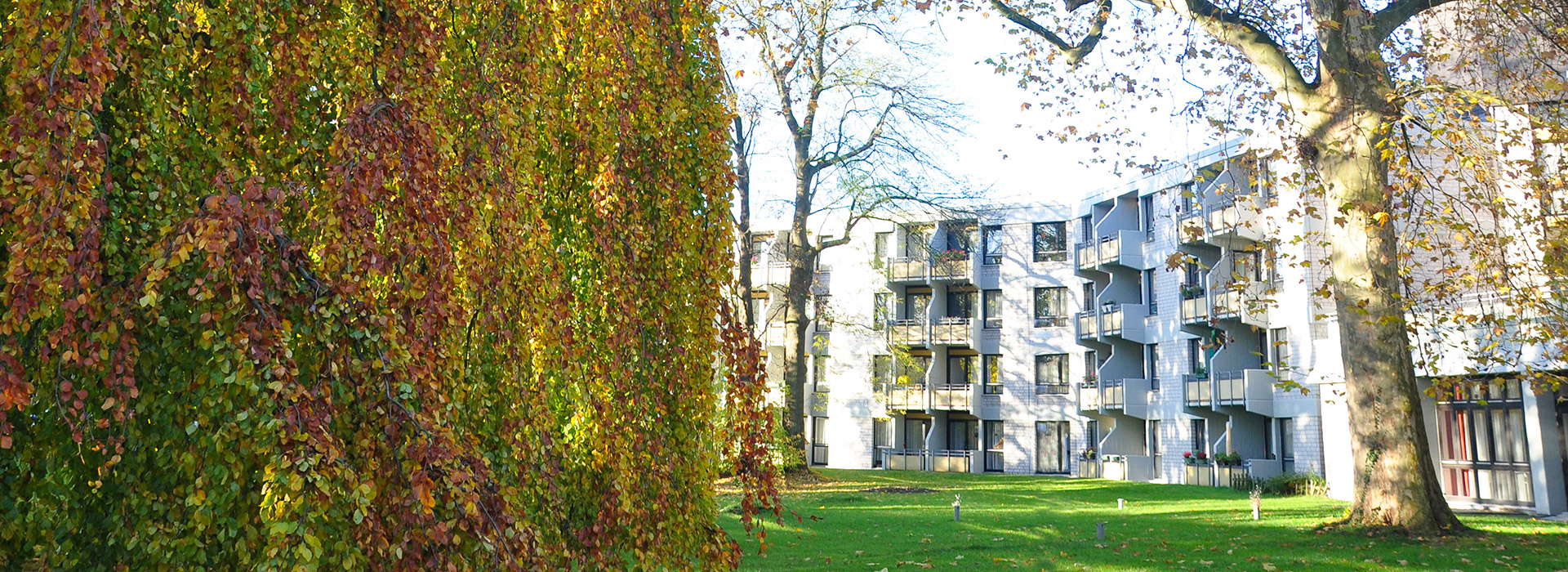 Luisenheim – geprüftes Websitebild